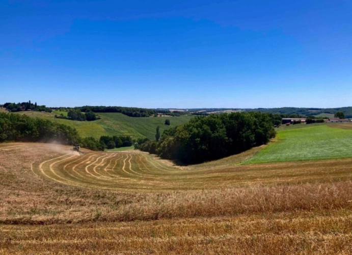 Photos 13 - Agricole - À découvrir – Propriété agricole de 17,4 ha à vendre Saint-Nauphary (82)