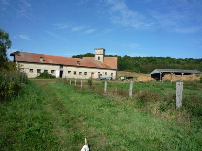 Photos 2 - Équestre - Dpt Aisne (02), à vendre COUCY LE CHATEAU AUFFRIQUE  superbe corps de ferme sur 17 hectares