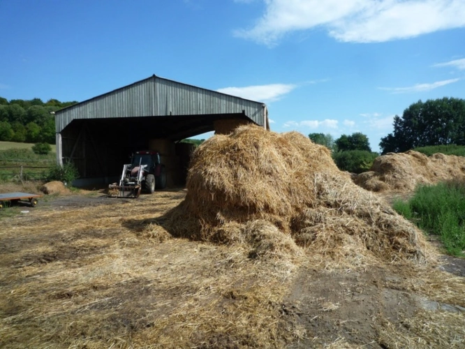 Photos 12 - Équestre - Dpt Aisne (02), à vendre COUCY LE CHATEAU AUFFRIQUE  superbe corps de ferme sur 17 hectares