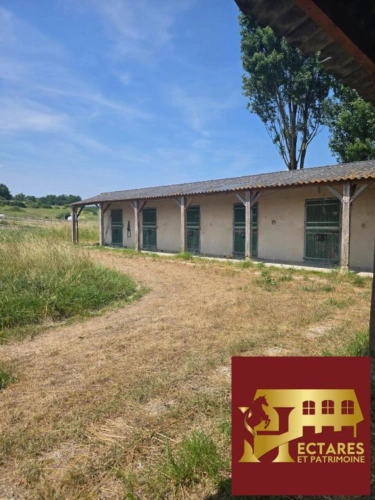 Photos 1 - Équestre - Vienne (86) - Belle opportunité -10 hectares -