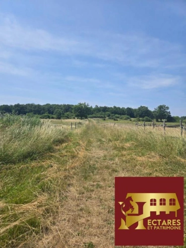 Photos 3 - Équestre - Vienne (86) - Belle opportunité -10 hectares -