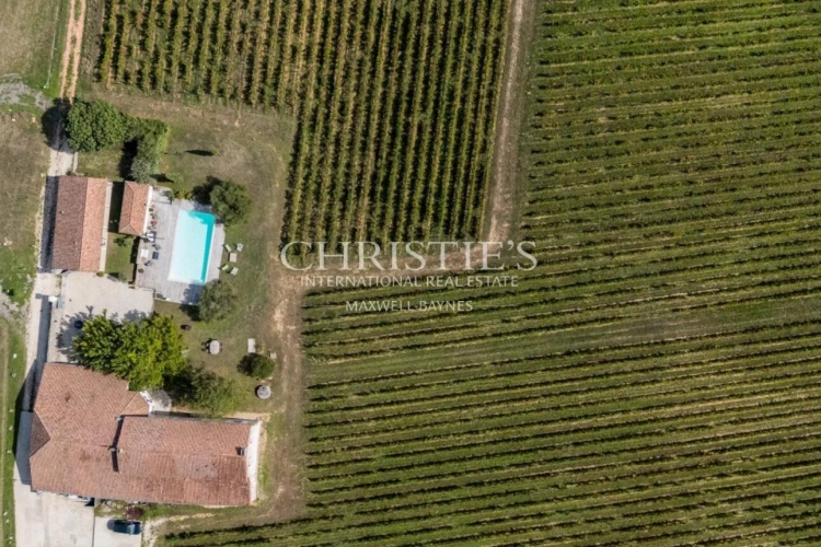 Photos 3 - Vineyard - Attractive 3.21 ha vineyard near Bordeaux - Turnkey!