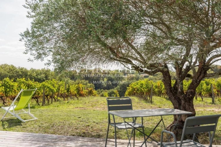 Photos 6 - Vineyard - Attractive 3.21 ha vineyard near Bordeaux - Turnkey!