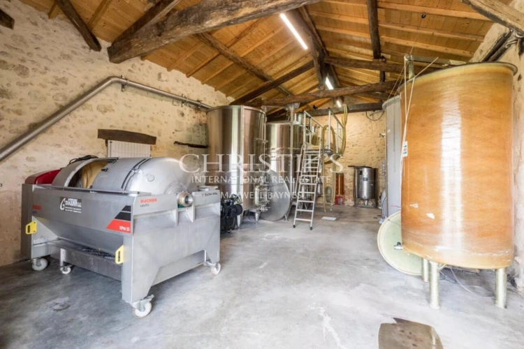 Photos 15 - Vineyard - Attractive 3.21 ha vineyard near Bordeaux - Turnkey!