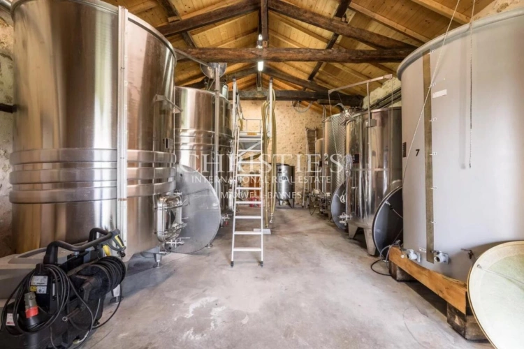 Photos 16 - Vineyard - Attractive 3.21 ha vineyard near Bordeaux - Turnkey!