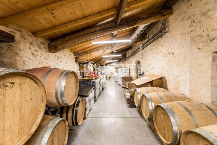 Photos 17 - Vineyard - Attractive 3.21 ha vineyard near Bordeaux - Turnkey!