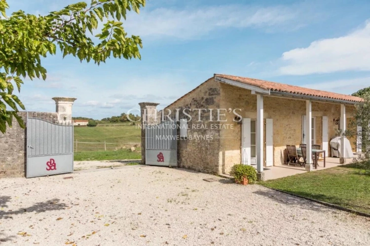 Photos 19 - Vineyard - Attractive 3.21 ha vineyard near Bordeaux - Turnkey!