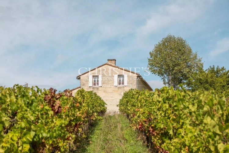 Photos 20 - Vineyard - Attractive 3.21 ha vineyard near Bordeaux - Turnkey!