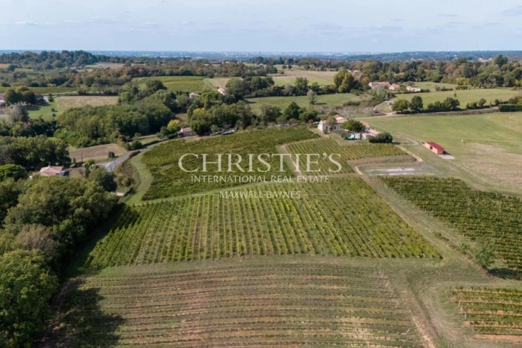 Photos 23 - Vineyard - Attractive 3.21 ha vineyard near Bordeaux - Turnkey!