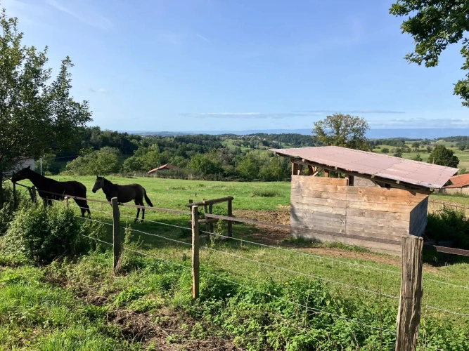 Photos 1 - Équestre - Propriété équestre à fort potentiel !