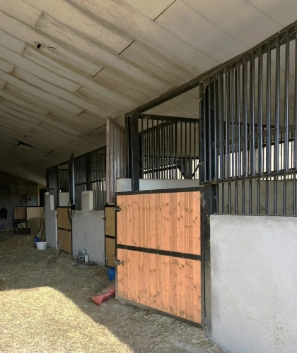 Photos 6 - Équestre - Propriété équestre à fort potentiel !