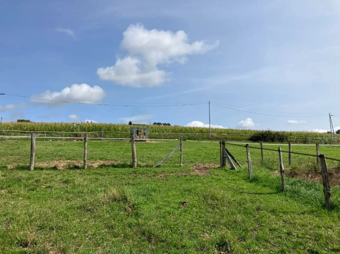 Photos 7 - Équestre - Propriété équestre à fort potentiel !