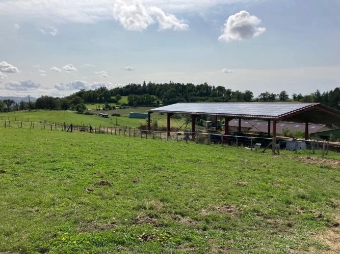 Photos 8 - Équestre - Propriété équestre à fort potentiel !