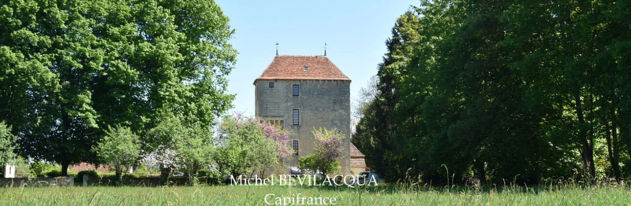 Photos 1 - Prestige - Propriete à vendre le Château d'OUROUER à OUROUER LES BOURDELINS (18) avec dépendances sur plus d'un hectare