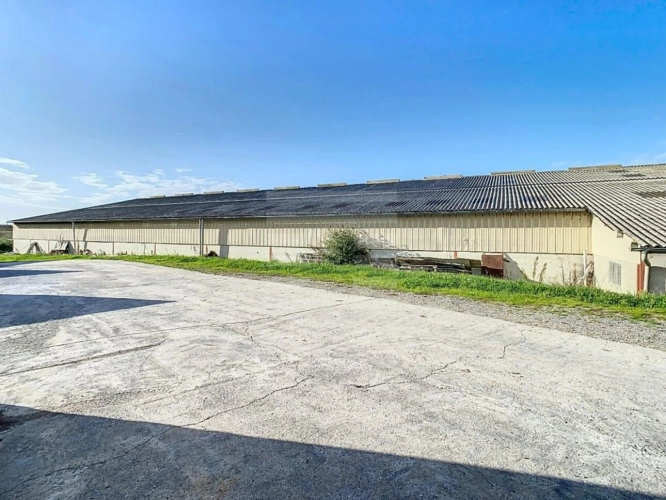 Photos 2 - Prestige - Propriété agricole