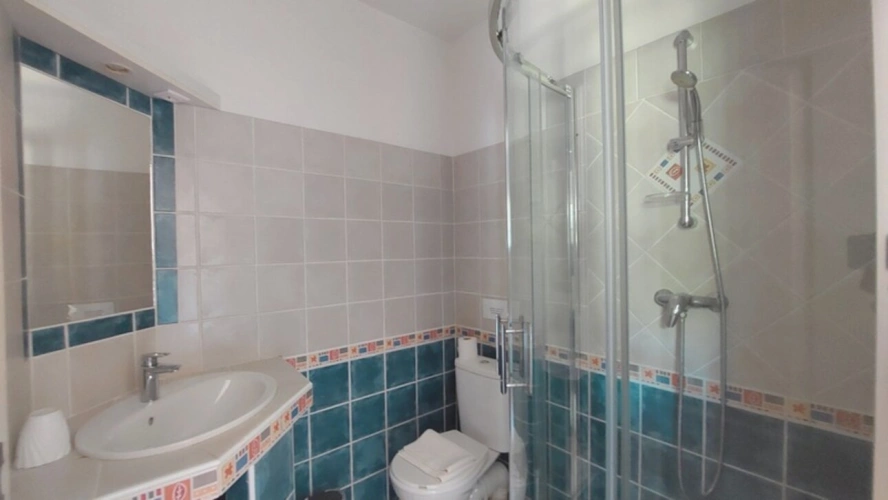 Photos 18 - Prestige - Propriete à vendre 7 pièces SAINT REMY DE PROVENCE (13)