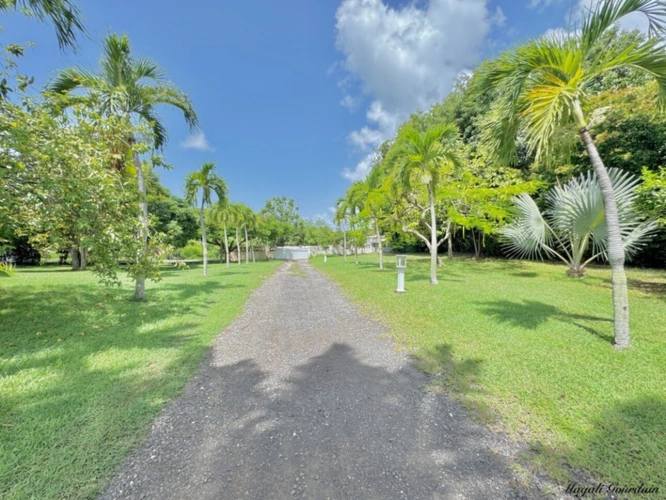 Photos 8 - Prestige - EXCLUSIVITÉ – ENSEMBLE TOURISTIQUE AVEC MAISON PRINCIPALE ET GITES - SAINT FRANCOIS