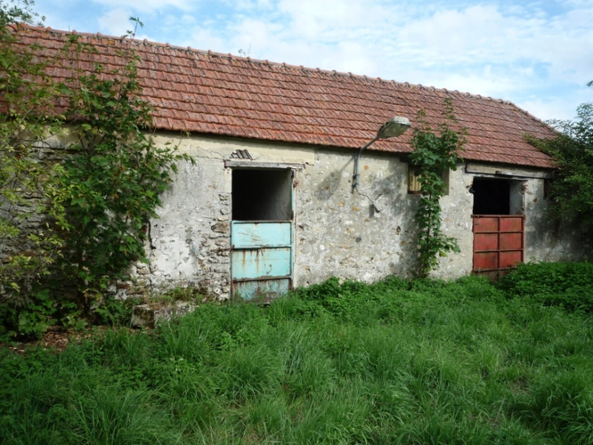 Photos 14 - Prestige - MONTDAUPHIN (77) à vendre propriété rare et atypique de 9 hectares dominant la vallée et batie sur les ruines d'un ancien Château