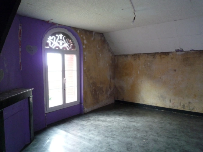 Photos 21 - Prestige - MONTDAUPHIN (77) à vendre propriété rare et atypique de 9 hectares dominant la vallée et batie sur les ruines d'un ancien Château
