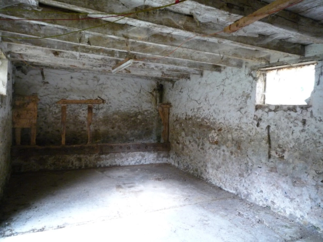 Photos 24 - Prestige - MONTDAUPHIN (77) à vendre propriété rare et atypique de 9 hectares dominant la vallée et batie sur les ruines d'un ancien Château