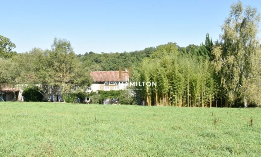 Photos 2 - Équestre - Longere