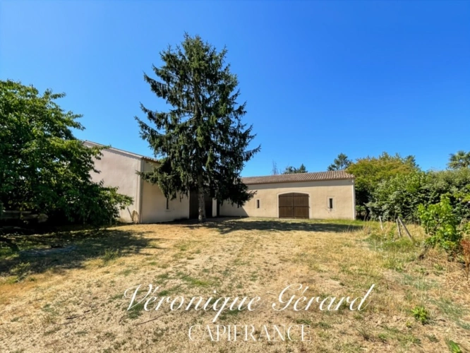 Photos 5 - Prestige - Propriété avec 164 M² habitable,  874 M² de CHAIS le tout sur 12 251 m² de terrains