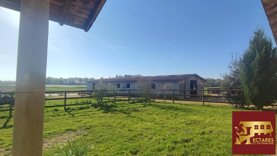 Photos 7 - Équestre - Habitation et écurie sur 4,1 hectares