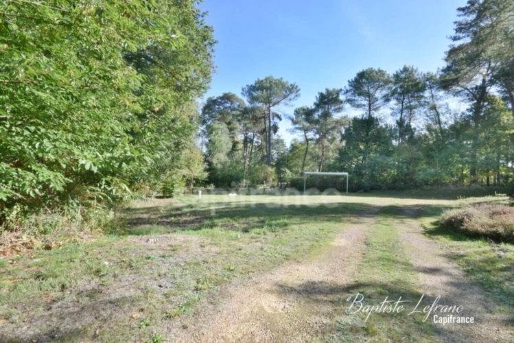 Photos 14 - Prestige - Propriété de caractère 380 m² - Auberge et chambres d'hôtes à RILLÉ sur un hectare