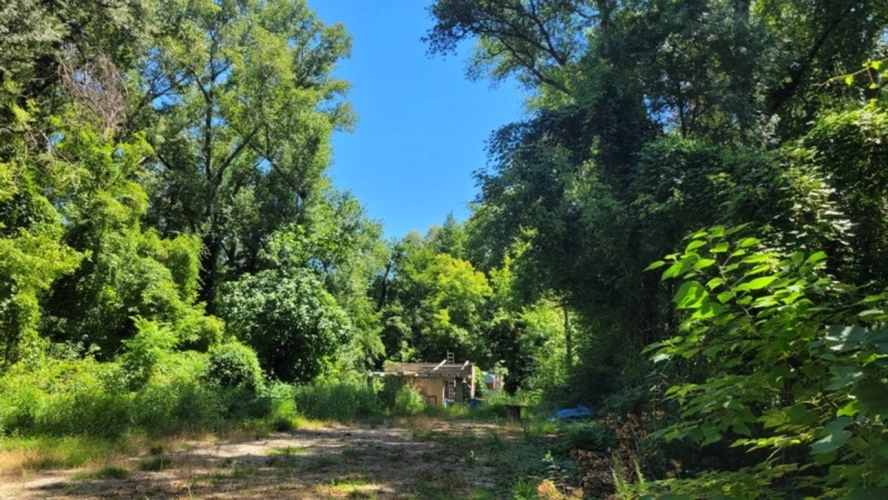 Photos 1 - Foncière - Parcelle à vendre de 1 110 m² DIONS (30)