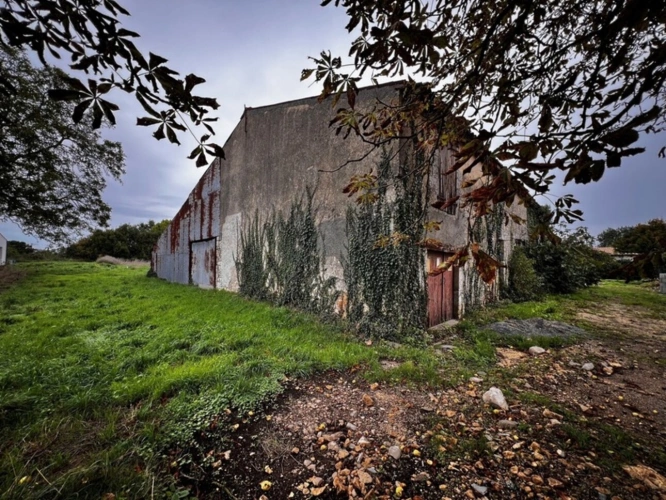 Photos 2 - Touristique - Grange à rénover VOUHE