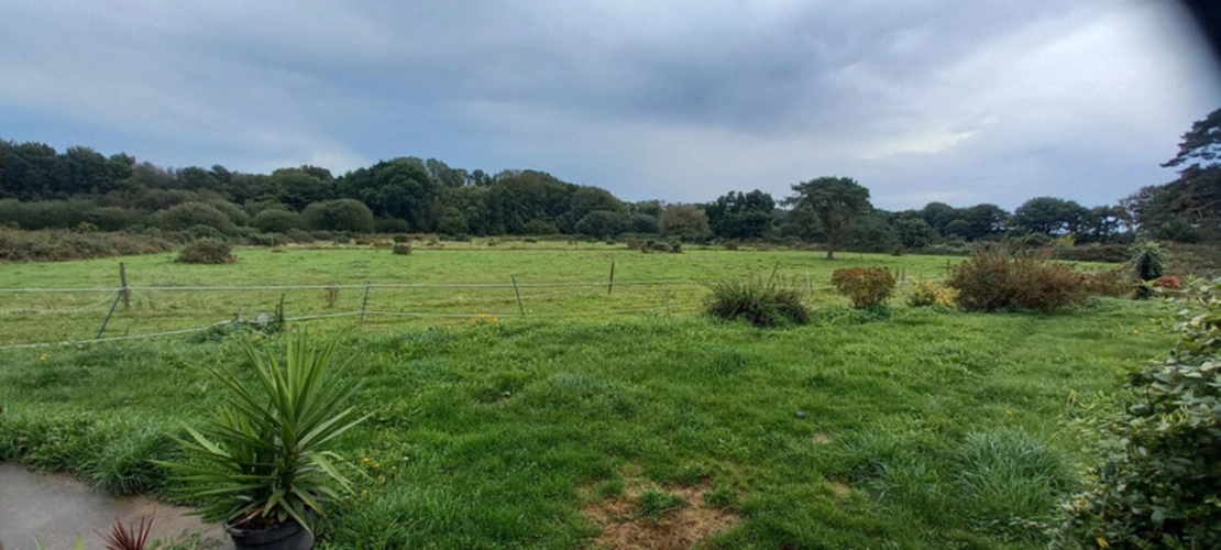 Photos 13 - Équestre - Propriete à vendre 7 pièces LANMEUR (29)