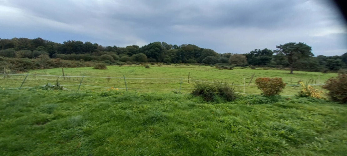 Photos 15 - Équestre - Propriete à vendre 7 pièces LANMEUR (29)