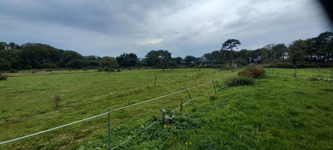 Photos 16 - Équestre - Propriete à vendre 7 pièces LANMEUR (29)