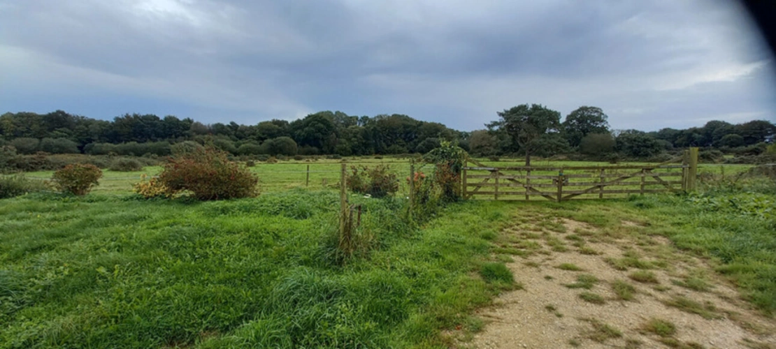 Photos 18 - Équestre - Propriete à vendre 7 pièces LANMEUR (29)