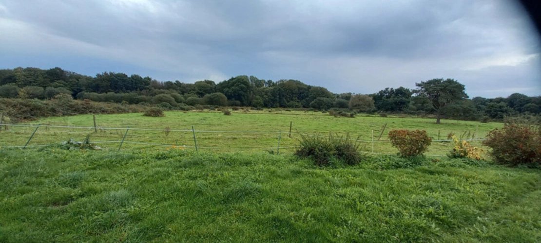 Photos 19 - Équestre - Propriete à vendre 7 pièces LANMEUR (29)