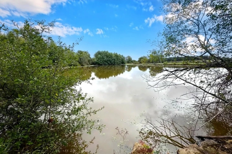 Photos 1 - Forestière - Propriété