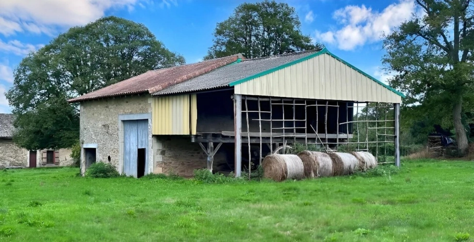 Photos 2 - Forestière - Propriété