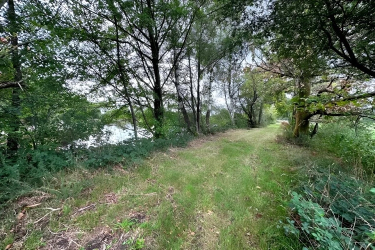 Photos 10 - Forestière - Propriété