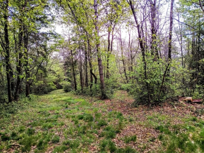 Photos 4 - Prestige - Maison et terrain