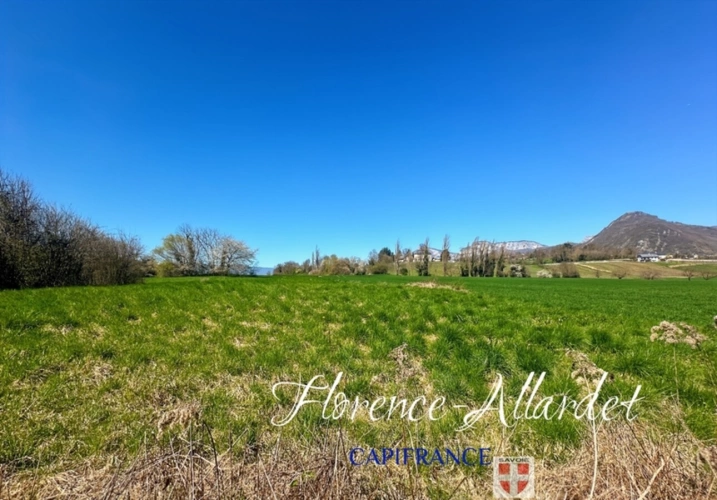 Photos 19 - Prestigious - Saint-Jeoire-Prieuré – Character property with large annex and swimming pool (73)