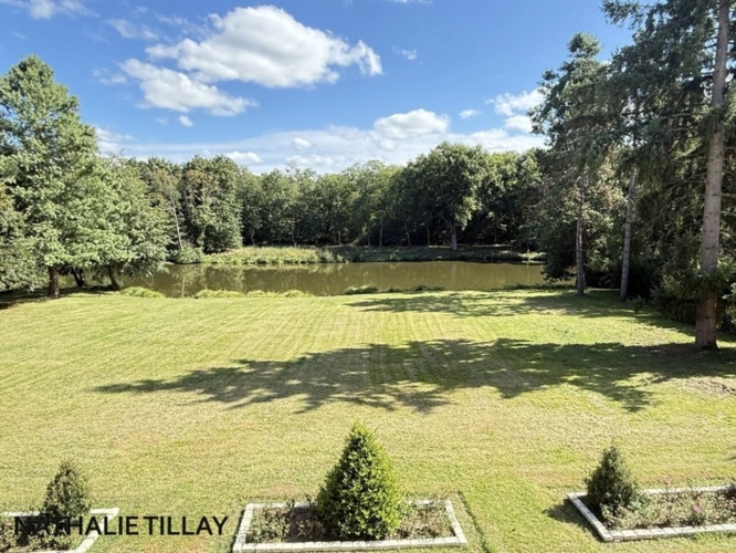 Photos 3 - Prestige - Plateau de Sologne, propriété d'agrément a vendre : Parc de 33 ha, piscine, tennis, biotope Solognot: bois, foret , prairies , étangs , petite chasse et peche. Proche Orleans