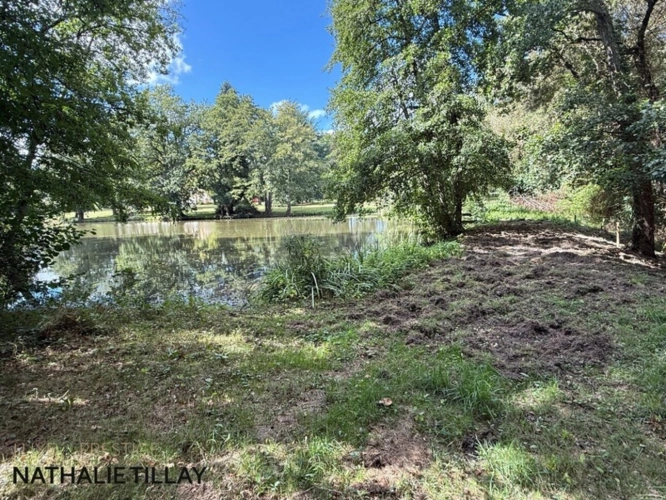 Photos 5 - Prestige - Plateau de Sologne, propriété d'agrément a vendre : Parc de 33 ha, piscine, tennis, biotope Solognot: bois, foret , prairies , étangs , petite chasse et peche. Proche Orleans