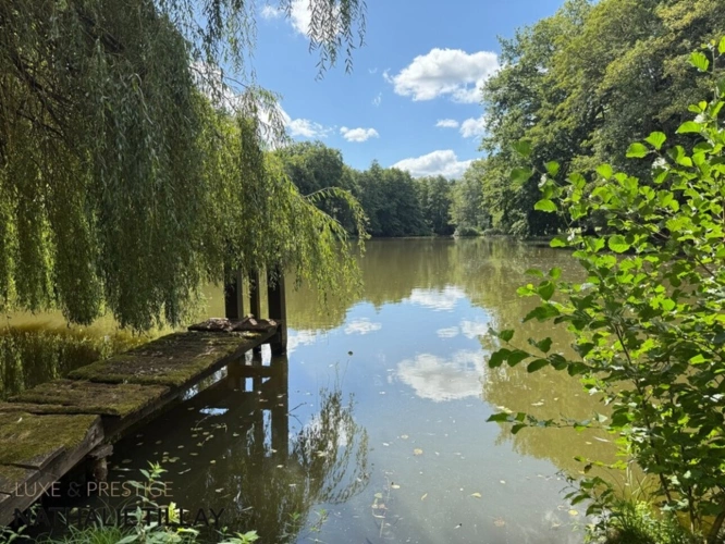 Photos 7 - Prestige - Plateau de Sologne, propriété d'agrément a vendre : Parc de 33 ha, piscine, tennis, biotope Solognot: bois, foret , prairies , étangs , petite chasse et peche. Proche Orleans