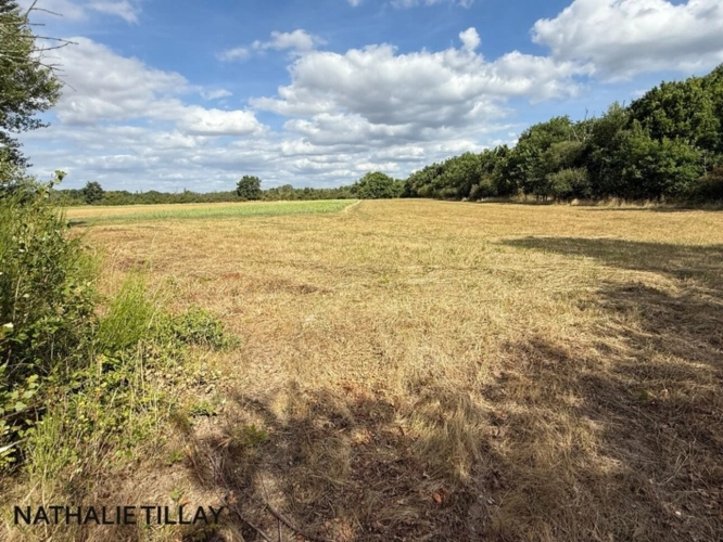 Photos 8 - Prestige - Plateau de Sologne, propriété d'agrément a vendre : Parc de 33 ha, piscine, tennis, biotope Solognot: bois, foret , prairies , étangs , petite chasse et peche. Proche Orleans