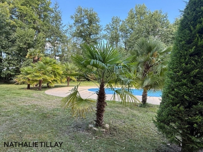 Photos 14 - Prestige - Plateau de Sologne, propriété d'agrément a vendre : Parc de 33 ha, piscine, tennis, biotope Solognot: bois, foret , prairies , étangs , petite chasse et peche. Proche Orleans