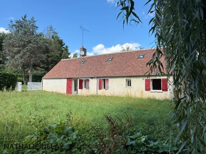 Photos 23 - Prestige - Plateau de Sologne, propriété d'agrément a vendre : Parc de 33 ha, piscine, tennis, biotope Solognot: bois, foret , prairies , étangs , petite chasse et peche. Proche Orleans