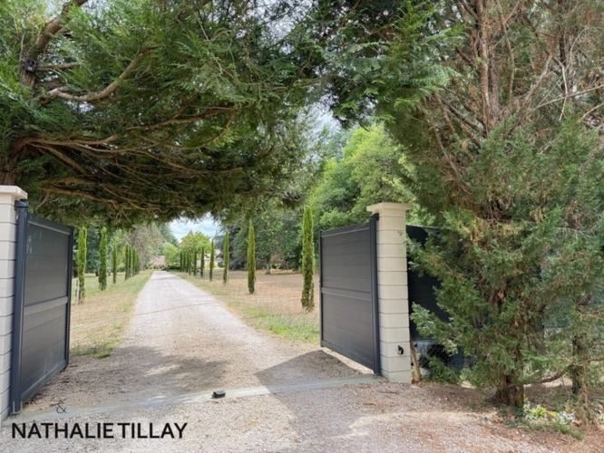 Photos 24 - Prestige - Plateau de Sologne, propriété d'agrément a vendre : Parc de 33 ha, piscine, tennis, biotope Solognot: bois, foret , prairies , étangs , petite chasse et peche. Proche Orleans