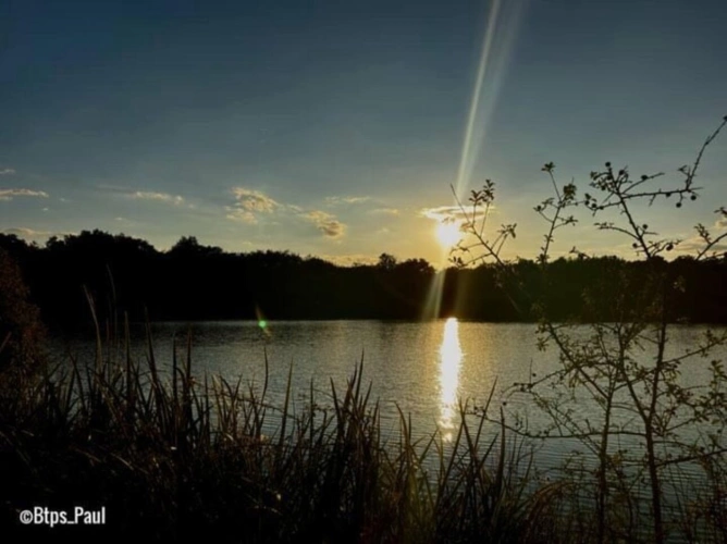 Photos 2 - Forestière - Opportunité d'affaires exceptionnelle : domaine de 24 hectares comprenant 15 hectares d'étangs, parfait pour divers projets touristiques et commerciaux. Avec une activité de location de tentes glampin