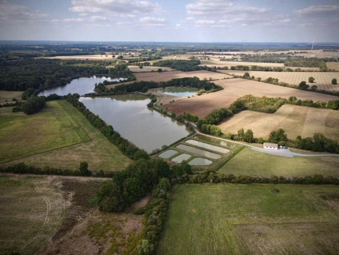 Photos 13 - Forestière - Opportunité d'affaires exceptionnelle : domaine de 24 hectares comprenant 15 hectares d'étangs, parfait pour divers projets touristiques et commerciaux. Avec une activité de location de tentes glampin