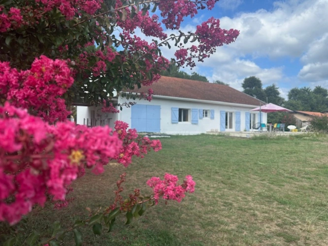 Photos 1 - Équestre - Charmante propriété équestre de 5,34ha (40)